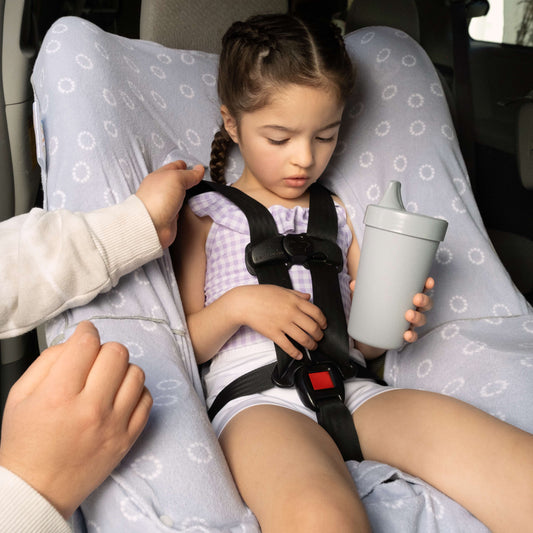 How to Deal With Potty Training on Car Trips